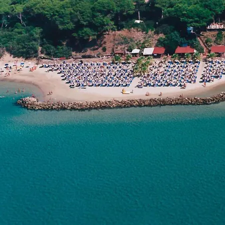 Podere Valmarina * فولّونيكا